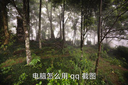 電腦怎么用 qq 截圖