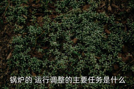 鍋爐的 運行調整的主要任務是什么