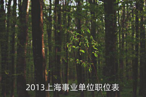 2013上海事業(yè)單位職位表