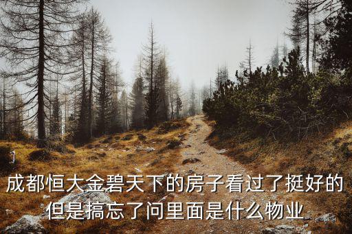 成都恒大金碧天下的房子看過了挺好的但是搞忘了問里面是什么物業