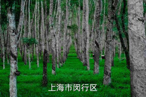 上海市閔行區
