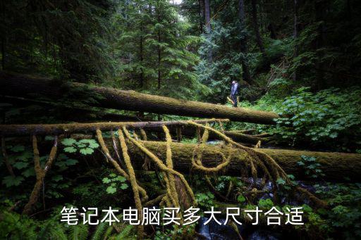  筆記本電腦買多大尺寸合適