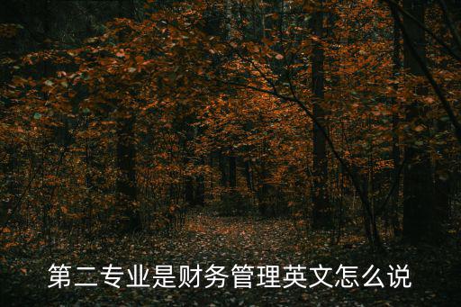 第二專業是財務管理英文怎么說