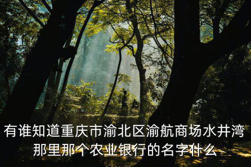 有誰知道重慶市渝北區渝航商場水井灣那里那個農業銀行的名字什么