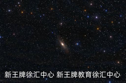 新王牌徐匯中心 新王牌教育徐匯中心