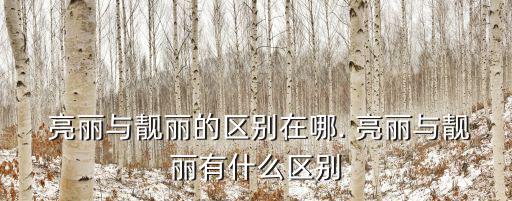 亮麗,亮麗與美麗之爭的焦點
