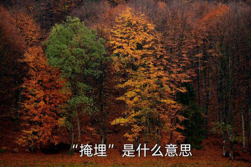 埋藏的意思,埋葬在心里