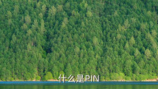 pin是什么,系統出現病例如何恢復正常運作?