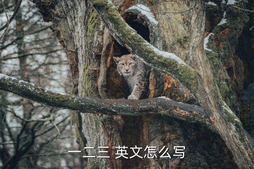 一二三 英文怎么寫