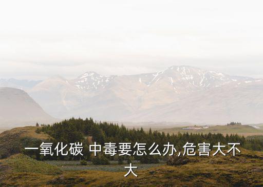 一氧化碳中毒怎么辦,高空作業(yè)時應(yīng)避免吸入二氧化碳