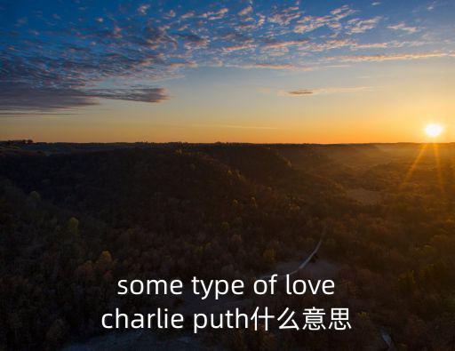 some type of lovecharlie puth什么意思