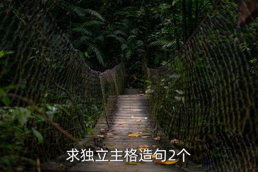 求獨立主格造句2個