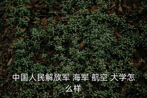 中國人民解放軍 海軍 航空 大學(xué)怎么樣