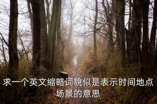 場景的英文，求一個英文縮略詞貌似是表示時間地點場景的意思