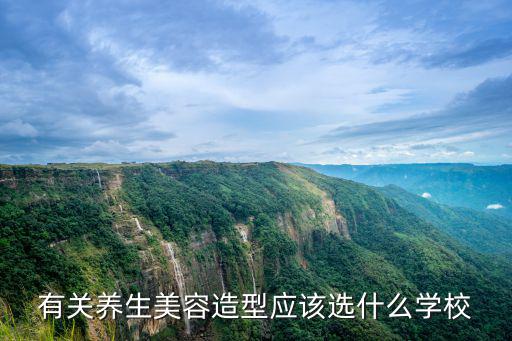 有關養生美容造型應該選什么學校