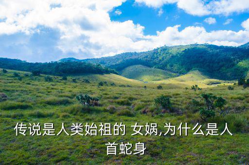 女媧為什么是人首蛇身,遠期目標是四象生活狀態人類是準天界人