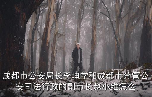 成都市以前姓趙的領導，成都石室聯中初中部的趙副校長的具體名字是什么