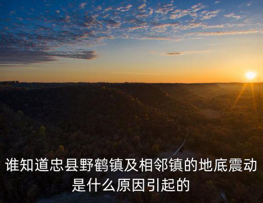 誰知道忠縣野鶴鎮及相鄰鎮的地底震動是什么原因引起的
