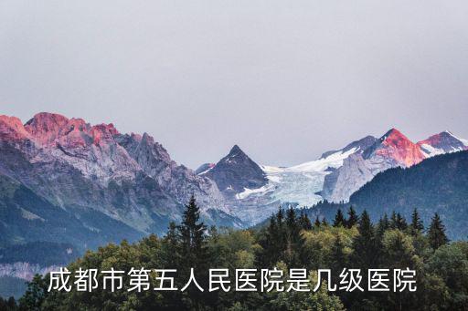 成都市第五人民醫(yī)院是幾級(jí)醫(yī)院