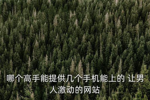 哪個高手能提供幾個手機能上的 讓男人激動的網站