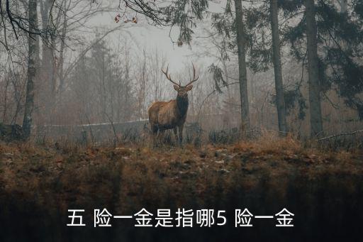 五 險(xiǎn)一金是指哪5 險(xiǎn)一金
