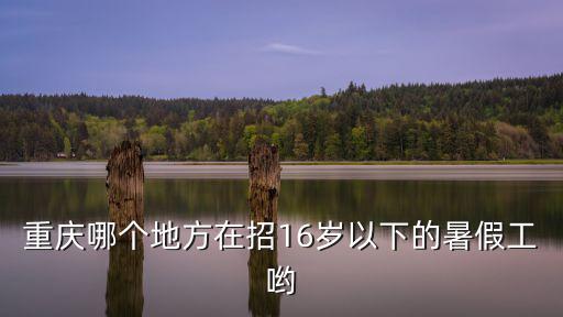 重慶哪個地方在招16歲以下的暑假工喲