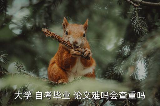 自考論文,自考論文能否拿到80分取決于學生表現