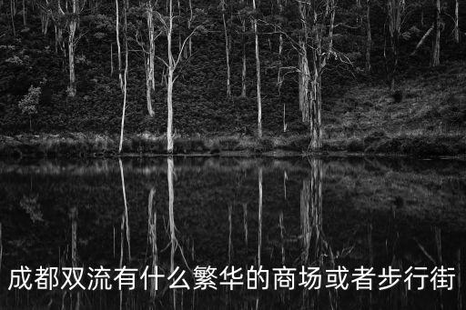 成都雙流有什么繁華的商場或者步行街