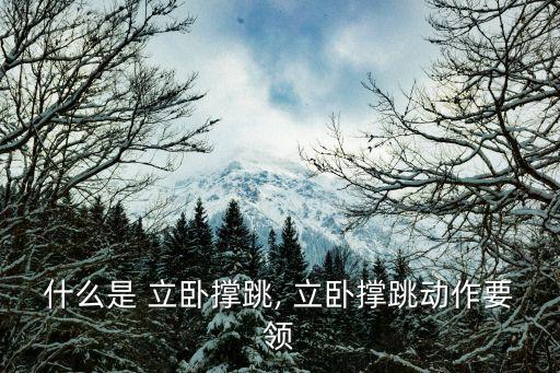 什么是 立臥撐跳, 立臥撐跳動作要領