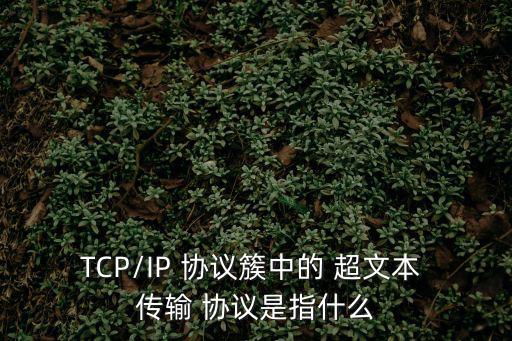 TCP/IP 協議簇中的 超文本 傳輸 協議是指什么