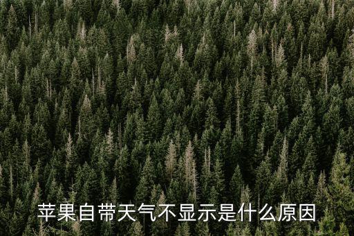 蘋果自帶天氣不顯示是什么原因