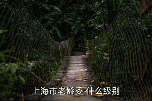 上海市老齡委 什么級別