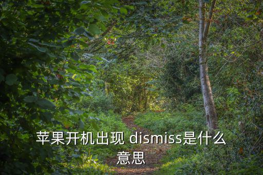 蘋果開機出現 dismiss是什么意思