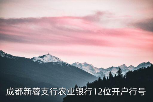成都新蓉支行農業銀行12位開戶行號