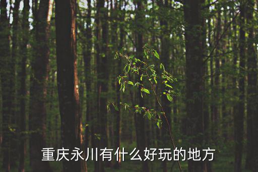 重慶永川有什么好玩的地方