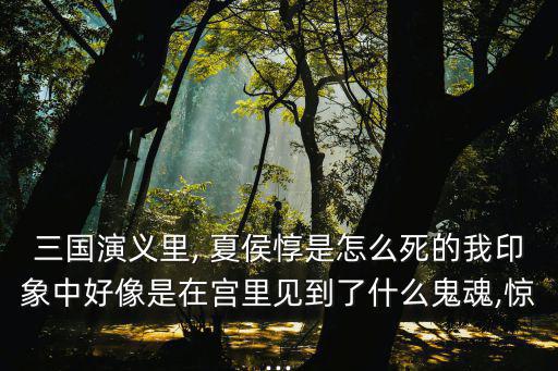 夏侯惇怎么死的,第二集:曹操和夏侯的故事