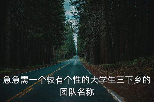 急急需一個較有個性的大學(xué)生三下鄉(xiāng)的團(tuán)隊(duì)名稱