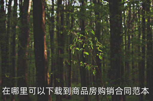 在哪里可以下載到商品房購銷合同范本