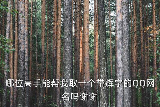 哪位高手能幫我取一個帶輝字的QQ網名嗎謝謝