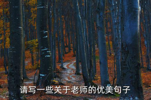 請寫一些關于老師的優美句子