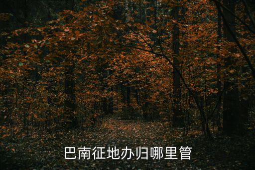 巴南征地辦歸哪里管
