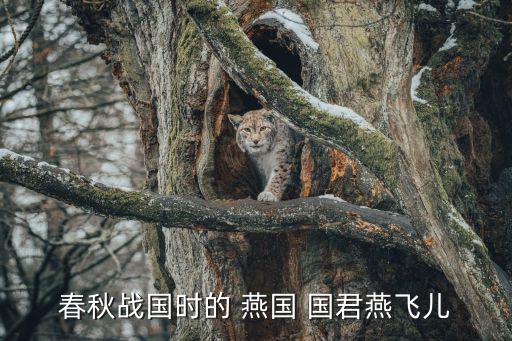 燕國國君,《史記正義》引用徐才宗《國都之書》說燕山之地