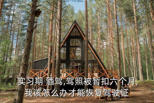 實習期酒駕,酒駕被扣六個月后需回警局拿駕照