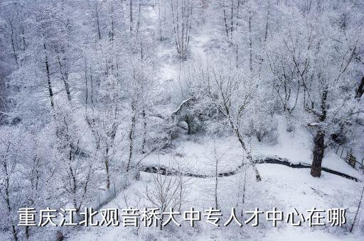 重慶江北觀音橋大中專人才中心在哪