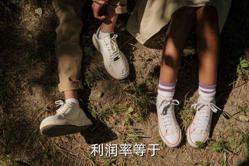 利潤率是,利潤率是剩余價值對全部預付資本比率