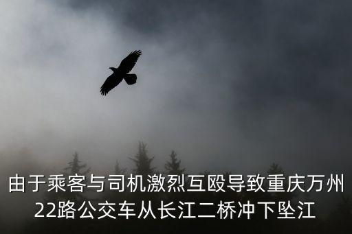 由于乘客與司機激烈互毆導致重慶萬州22路公交車從長江二橋沖下墜江