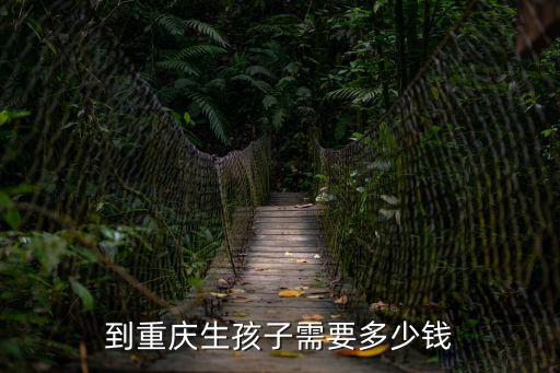 到重慶生孩子需要多少錢
