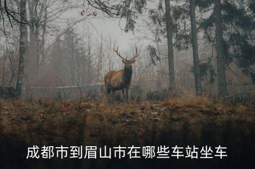 成都市至眉山市公交，成都到眉山在哪里坐車