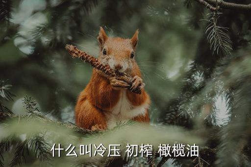 什么叫冷壓 初榨 橄欖油