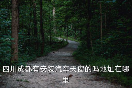 成都市安裝車用氣罐，四川成都有安裝汽車天窗的嗎地址在哪里